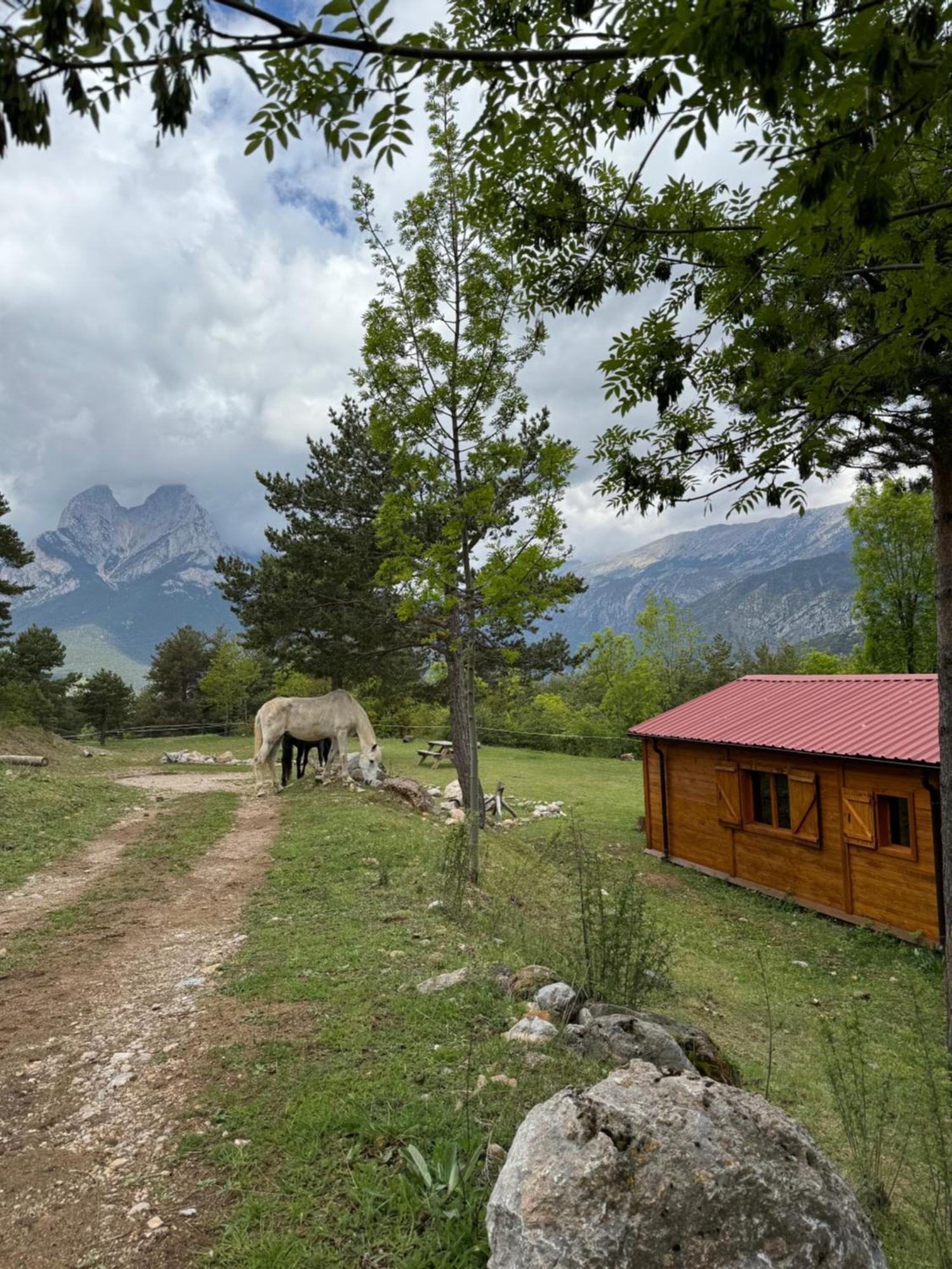 Apartment Racons Del Pedraforca *